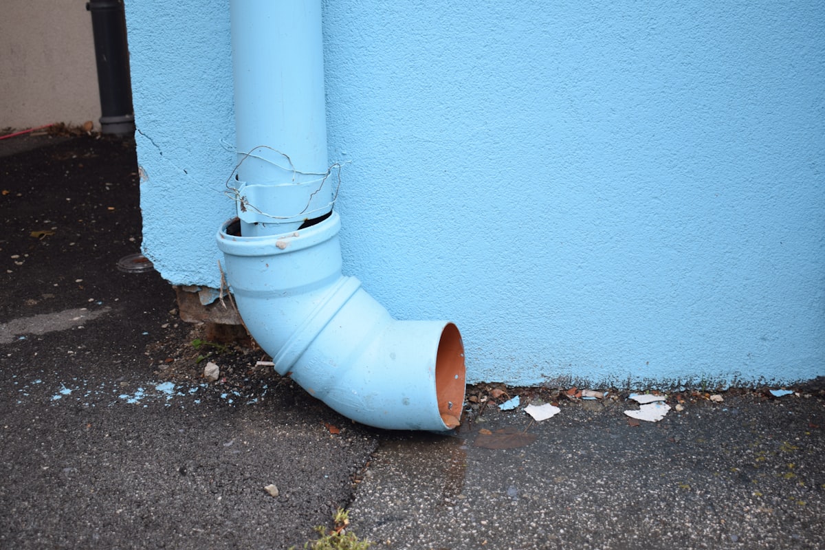 Mold Remediation service in Sandy, UT